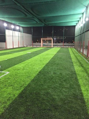 Soccer Field Pakualaman